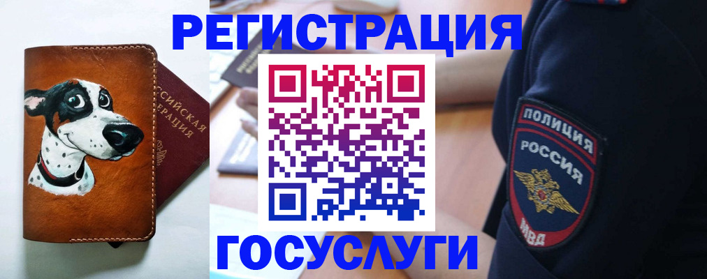 временная регистрация в квартире в Моздоке